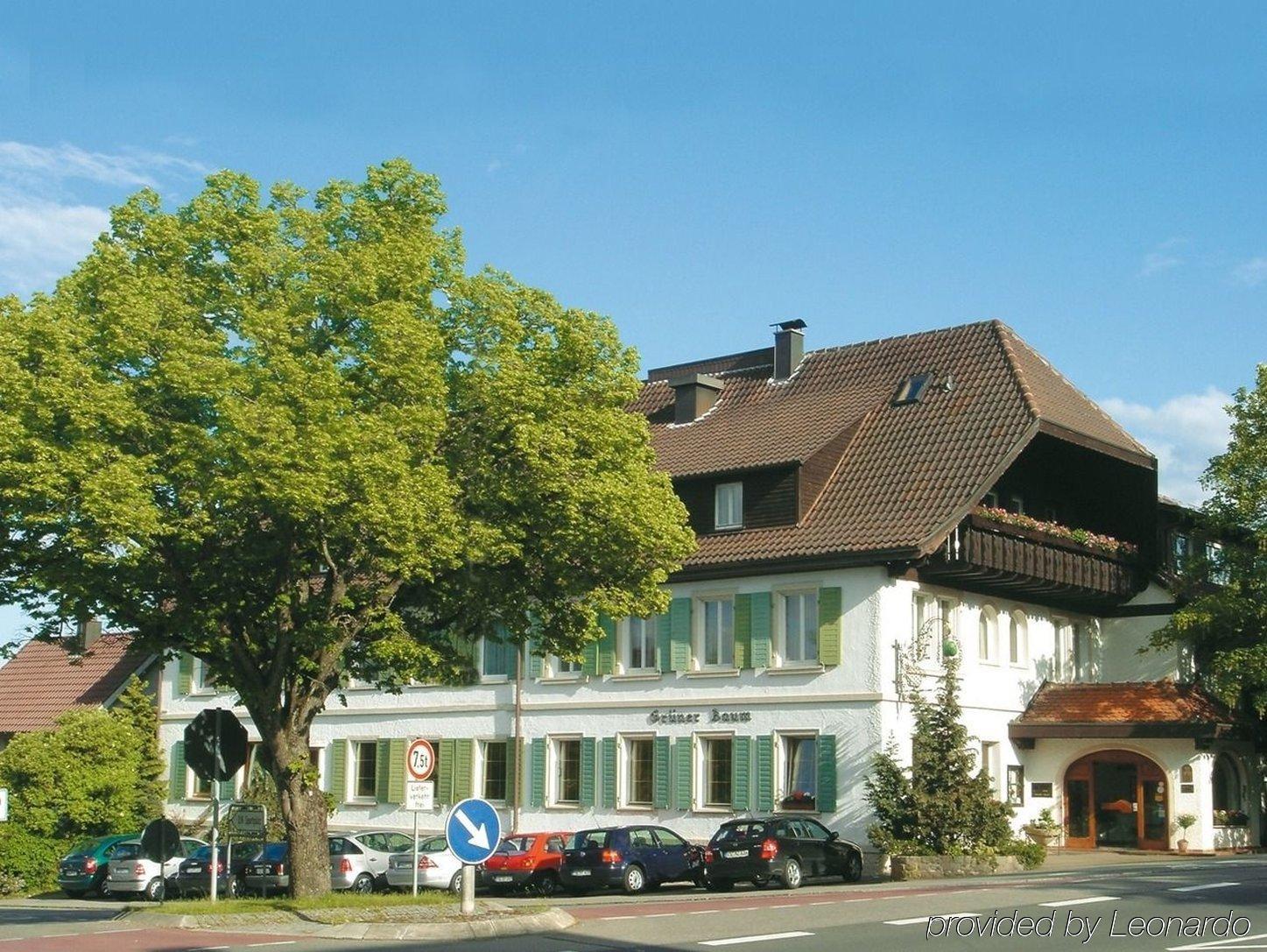 Flair Hotel Gruener Baum Донауешинген Екстер'єр фото