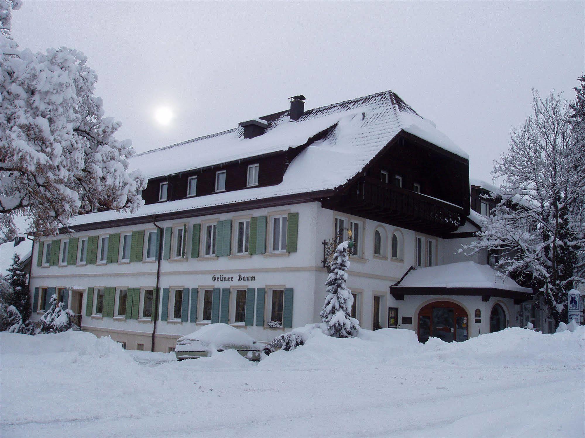 Flair Hotel Gruener Baum Донауешинген Екстер'єр фото